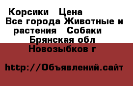 Корсики › Цена ­ 15 000 - Все города Животные и растения » Собаки   . Брянская обл.,Новозыбков г.